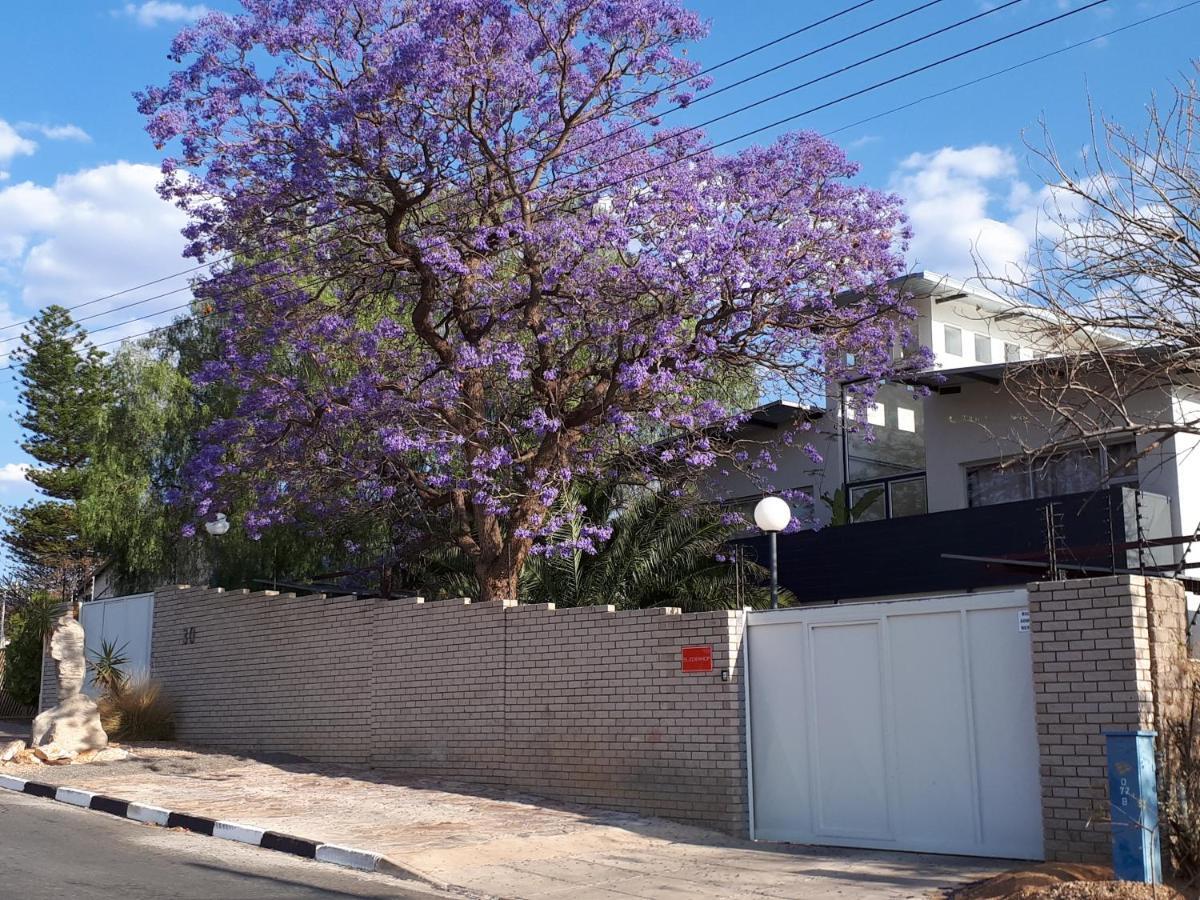 فندق Suiderhof Self-Catering ويندهوك المظهر الخارجي الصورة